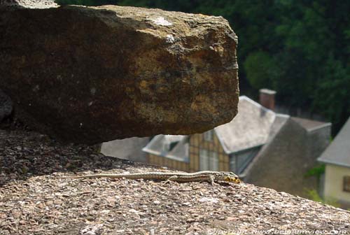 Vieux Château ROCHEFORT foto