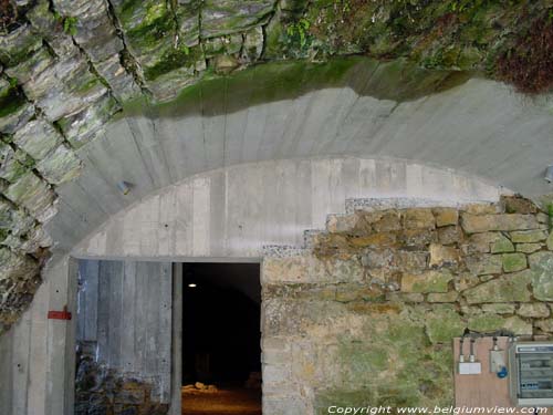 Vieux Château ROCHEFORT foto