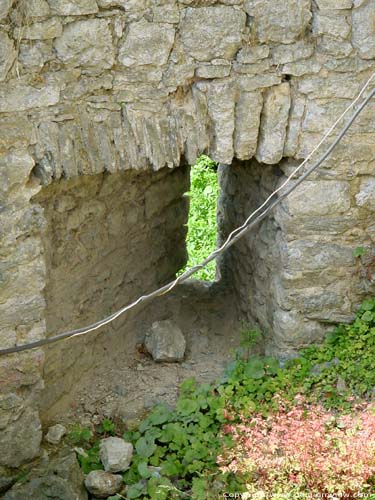 Vieux Château ROCHEFORT foto