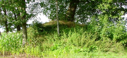 Roman Tumulus TINLOT / BELGIUM 