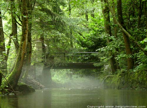 Lembre river FERRIERES / BELGIUM 