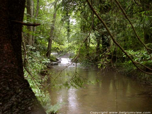 Lembre rivier FERRIERES foto 