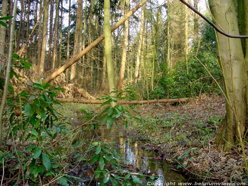 Kerkebeek ZEDELGEM foto 