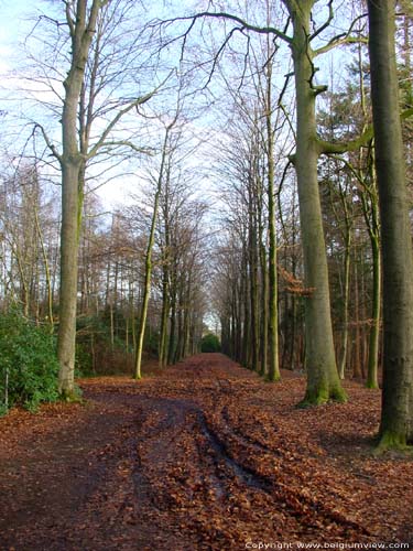 Merkemfield domain ZEDELGEM / BELGIUM 