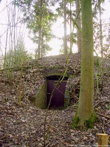 Merkemveld ZEDELGEM / BELGI 