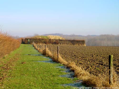 Tumulus Verloren Kost (tussen Gutschoven en Horpmaal) HEERS foto 