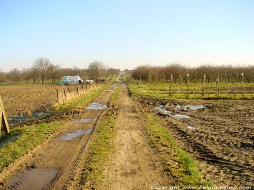 Roman Cobbled Road (in Voort) BORGLOON / BELGIUM 