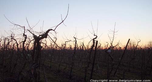 Zonsondergang Romeinse Kassei BORGLOON / BELGI 