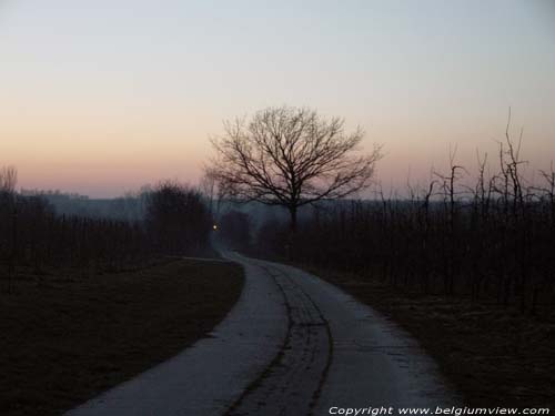 Zonsondergang Romeinse Kassei BORGLOON / LOOZ photo 