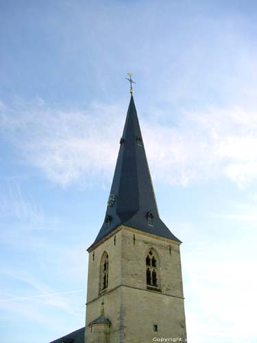 glise Collegiale Saint-Odulfus BORGLOON  LOOZ / BELGIQUE 