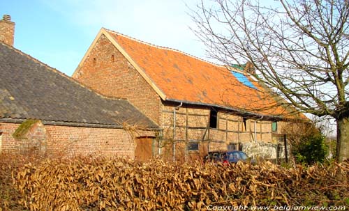 Ferme Piringen TONGEREN  TONGRES / BELGIQUE 