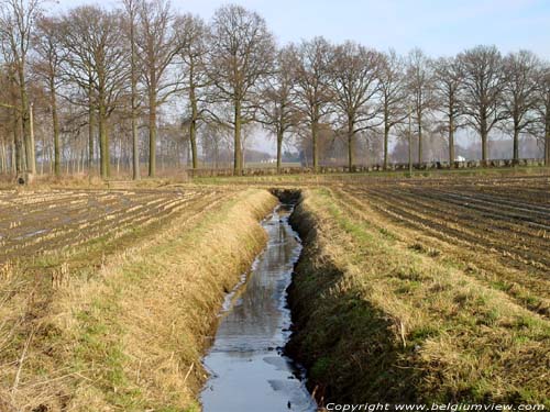 Ezelsbeek TONGEREN / BELGIUM 