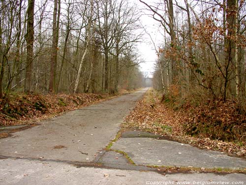 Het Leen ZOMERGEM photo 