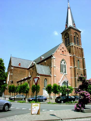 Saint Willibrordus' church KNESSELARE picture
