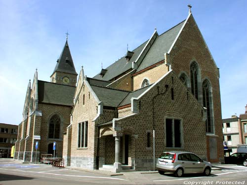 Sint-Martinuskerk LOVENDEGEM foto 