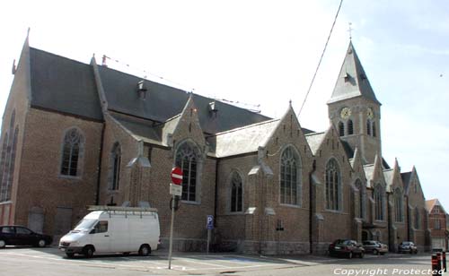 Saint-Martin's church LOVENDEGEM picture