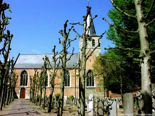 Saint-Maurits' church NEVELE / BELGIUM 