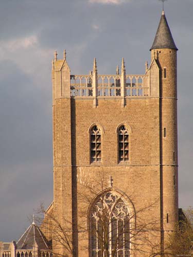 Instituut van de Ursulinen (te Onze-Lieve-Vrouw-Waver ) ONZE-LIEVE-VROUW-WAVER in SINT-KATELIJNE-WAVER / BELGI Neogotische kerktoren met daarnaast de traptoren 