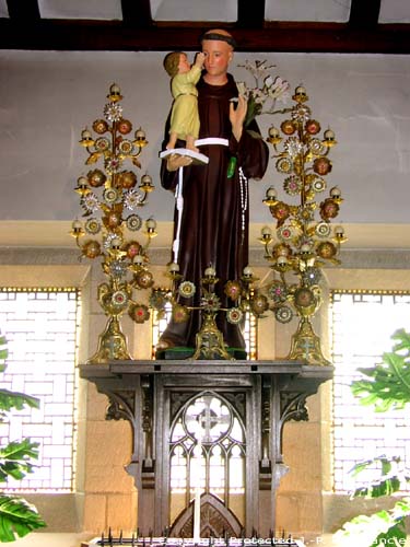 Saint Martin's church (in Oombergen) ZOTTEGEM picture