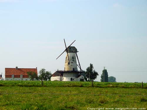 Vrouwenmolen - Mevrouwmolen (te Kanegem) TIELT foto 