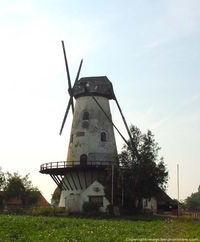 Vrouwenmolen - Mevrouwmolen (te Kanegem) TIELT / BELGI 