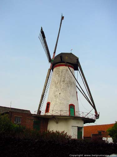 Knokmolen RUISELEDE foto