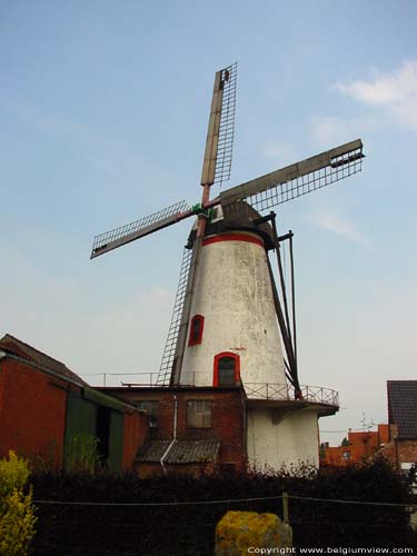 Moulin Knok RUISELEDE photo