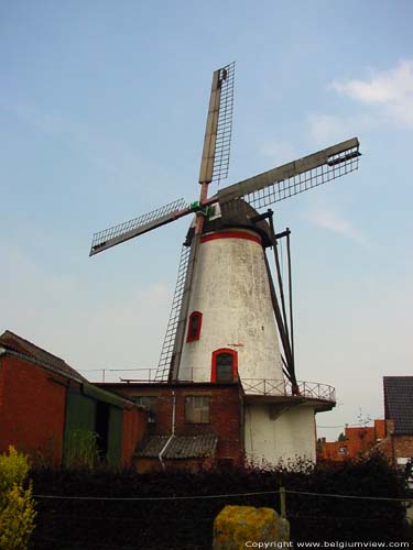 Knokmolen RUISELEDE foto 