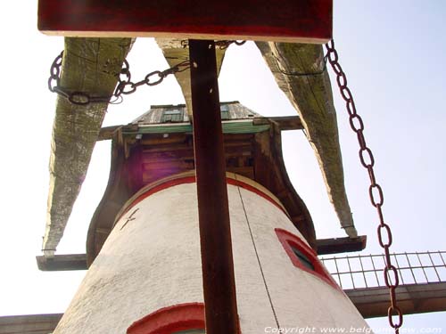 Moulin Knok RUISELEDE / BELGIQUE 