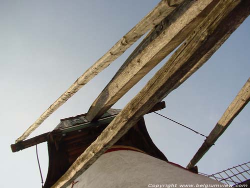 Moulin Knok RUISELEDE / BELGIQUE 