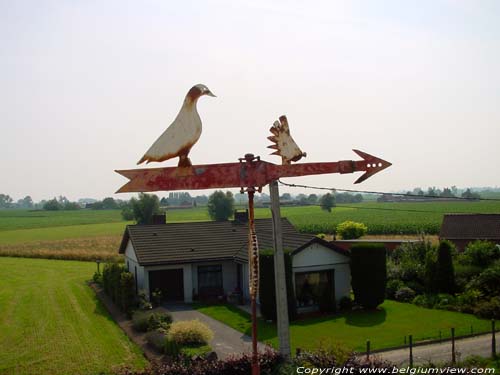 Moulin Knok RUISELEDE / BELGIQUE 