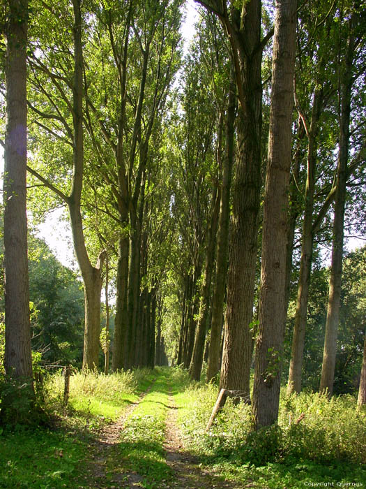 Leopoldkanaal DAMME foto 