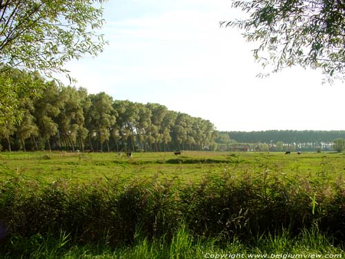 Landschap DAMME / BELGIUM 