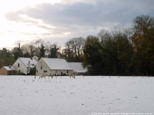 Winter landscape DESTELBERGEN / BELGIUM 