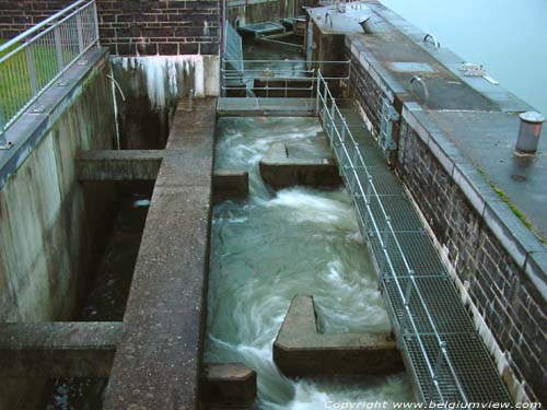 Ecluse et escalier  poisson sur la Meuse NAMUR  HASTIERE / BELGIQUE 