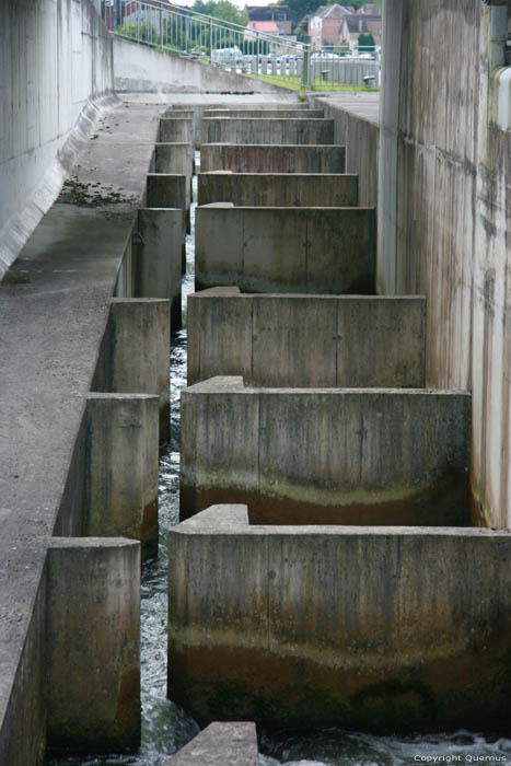 Ecluse et escalier  poisson sur la Meuse NAMUR  HASTIERE / BELGIQUE 