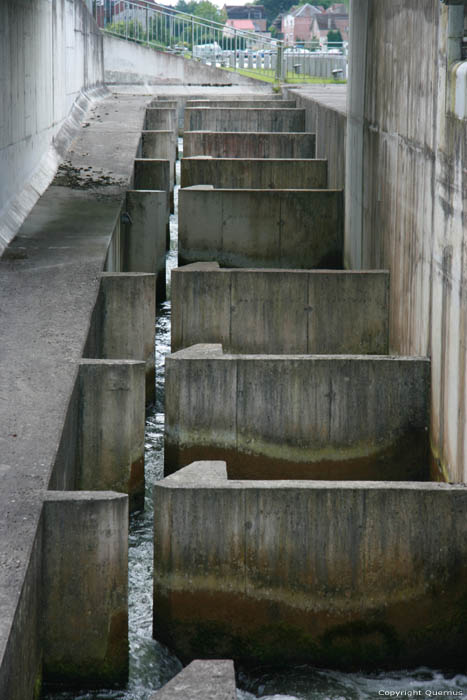 Sluis, stuw en vistrap op Maas HASTIERE-PAR-DELA / HASTIERE foto 