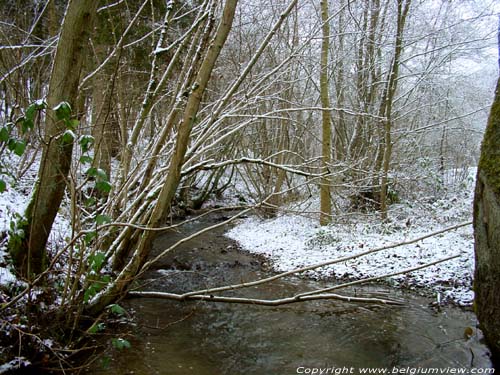 Ruisseau d'Omen SOULME  DOISCHE / BELGIQUE 