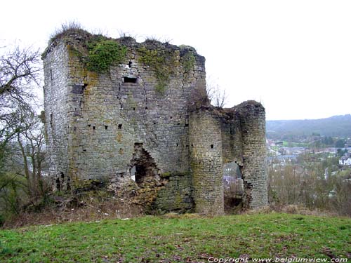 Kasteel van Hoge Rots DOURBES in VIROINVAL / BELGI 