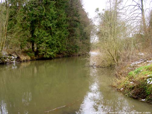 La Viroin DOURBES  VIROINVAL / BELGIQUE 