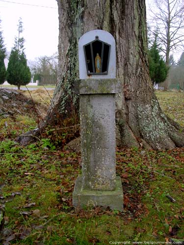 Linden tree with chapel DAILLY in COUVIN / BELGIUM 