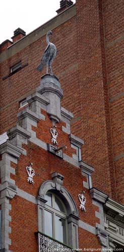 Huis met Vogel uit 1880 LIEGE 1 in LUIK / BELGI 