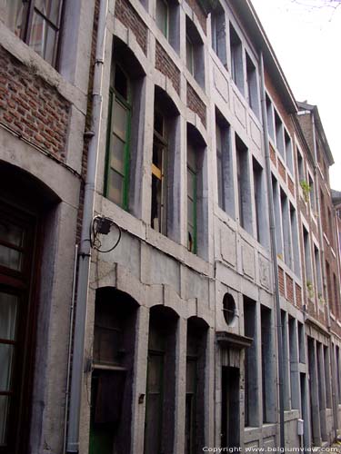 House full of houses in Maas Renaissance style LIEGE 1 / LIEGE picture 