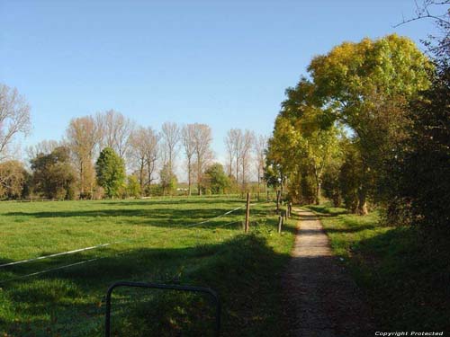 Walking way OORBEEK in TIENEN / BELGIUM 