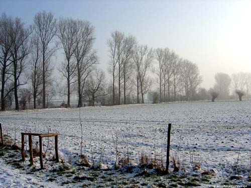 Paysage Hivernal OORBEEK  TIRLEMONT / BELGIQUE 