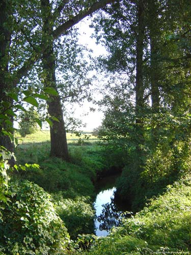 Menebeek of Molenbeek OORBEEK in TIENEN / BELGI 