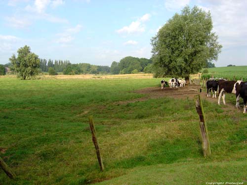 Nature landscape OORBEEK in TIENEN / BELGIUM 