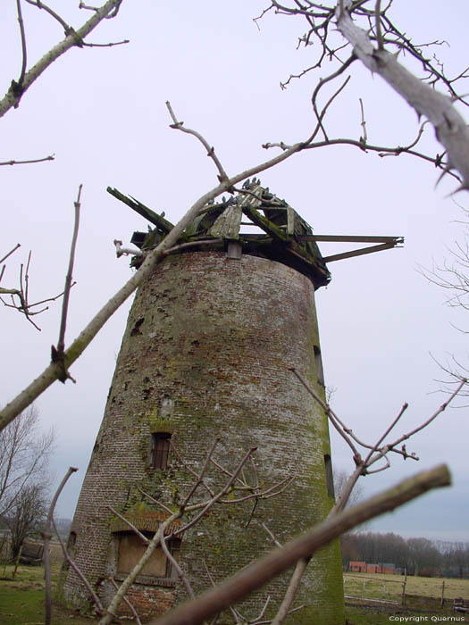 Vervallen windmolen Tarandusmolen GAVERE / BELGI 