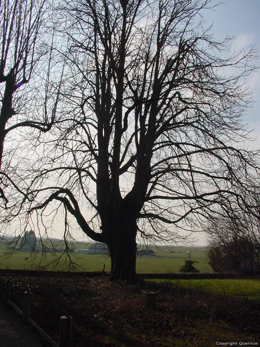 Kasteel van Senzeilles SENZEILLES in CERFONTAINE / BELGI 