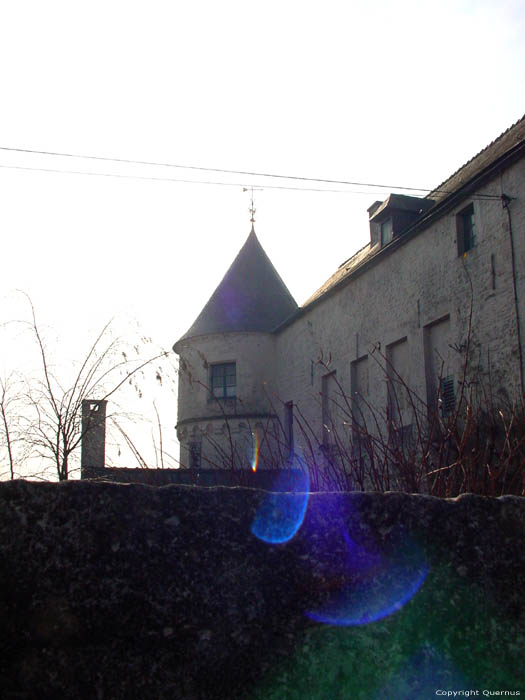 Senzeilles castle SENZEILLES / CERFONTAINE picture